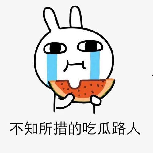 吃瓜网免费独家揭秘呱呱,吃瓜网独家免费解析呱呱背后的秘密